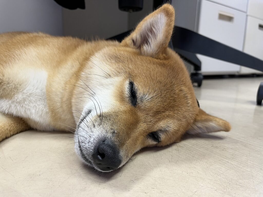 お盆休みのお知らせ