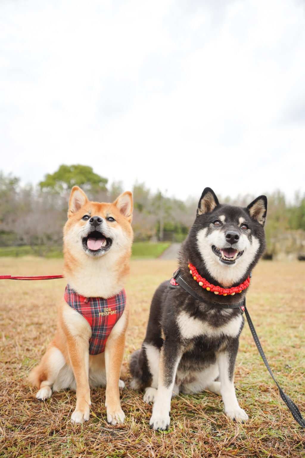 年末年始の休業日のお知らせ